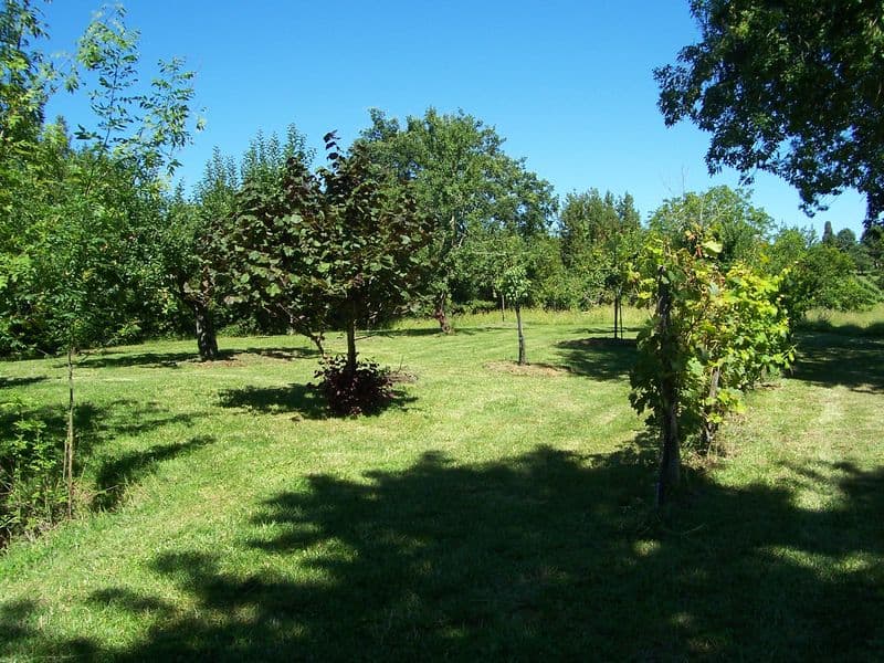 Château Laroque