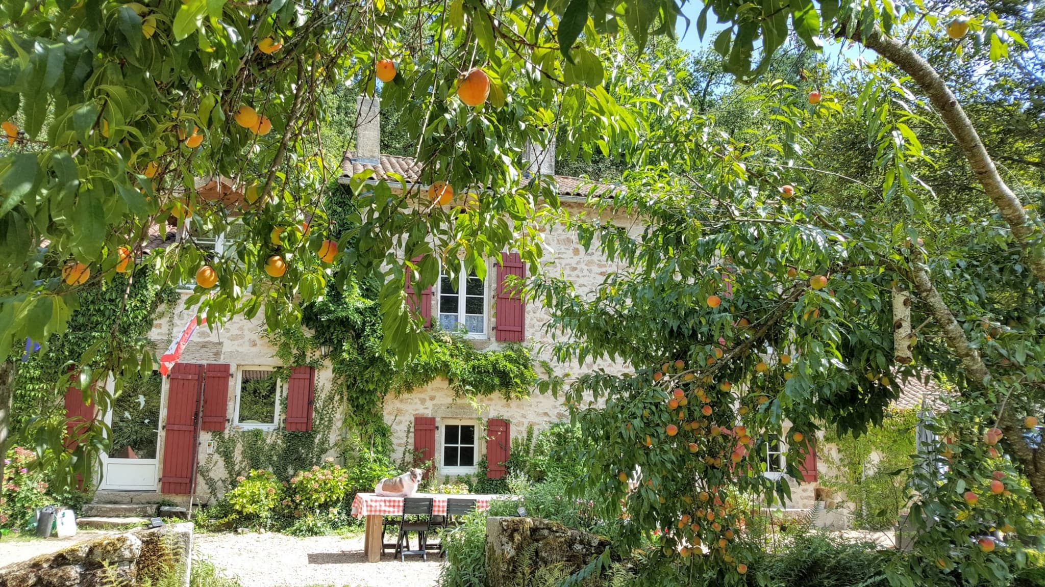 lemoulin-ext