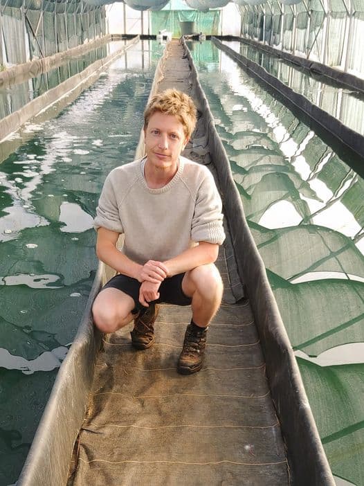 lepetitspirulinier