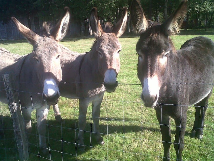LA RESERVE PERIGORD
