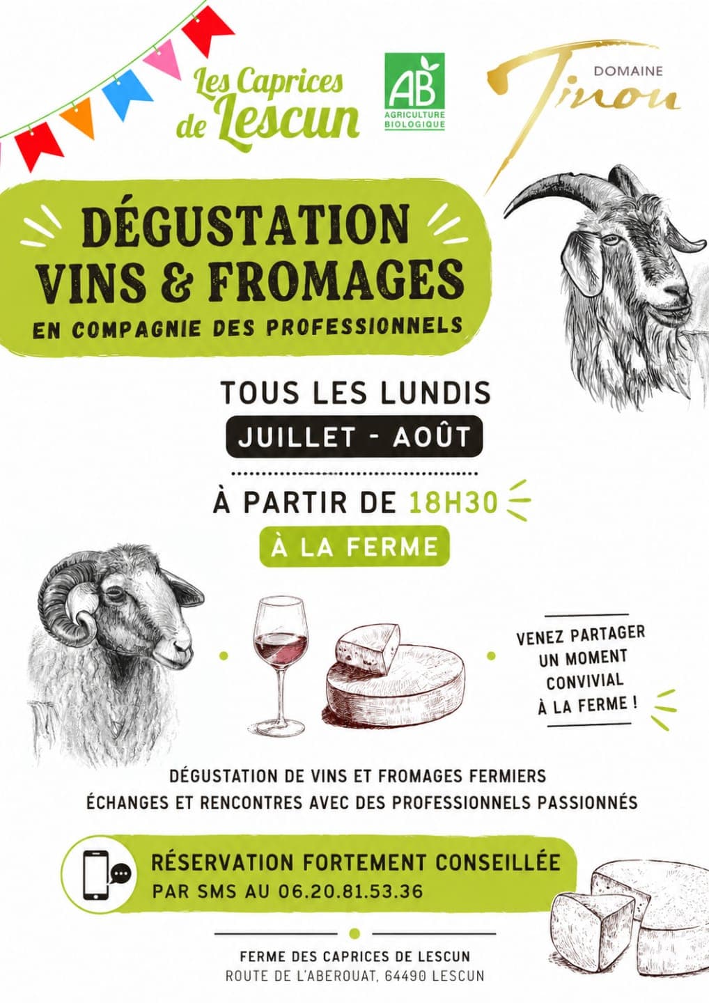 Dégustation vins et fromages