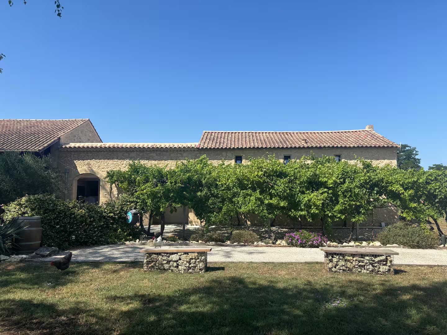 les-chais-du-fourneau-petanque-01
