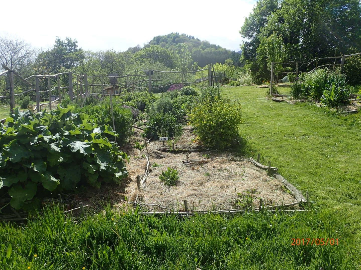 les-cueillettes-de-claire-jardin4