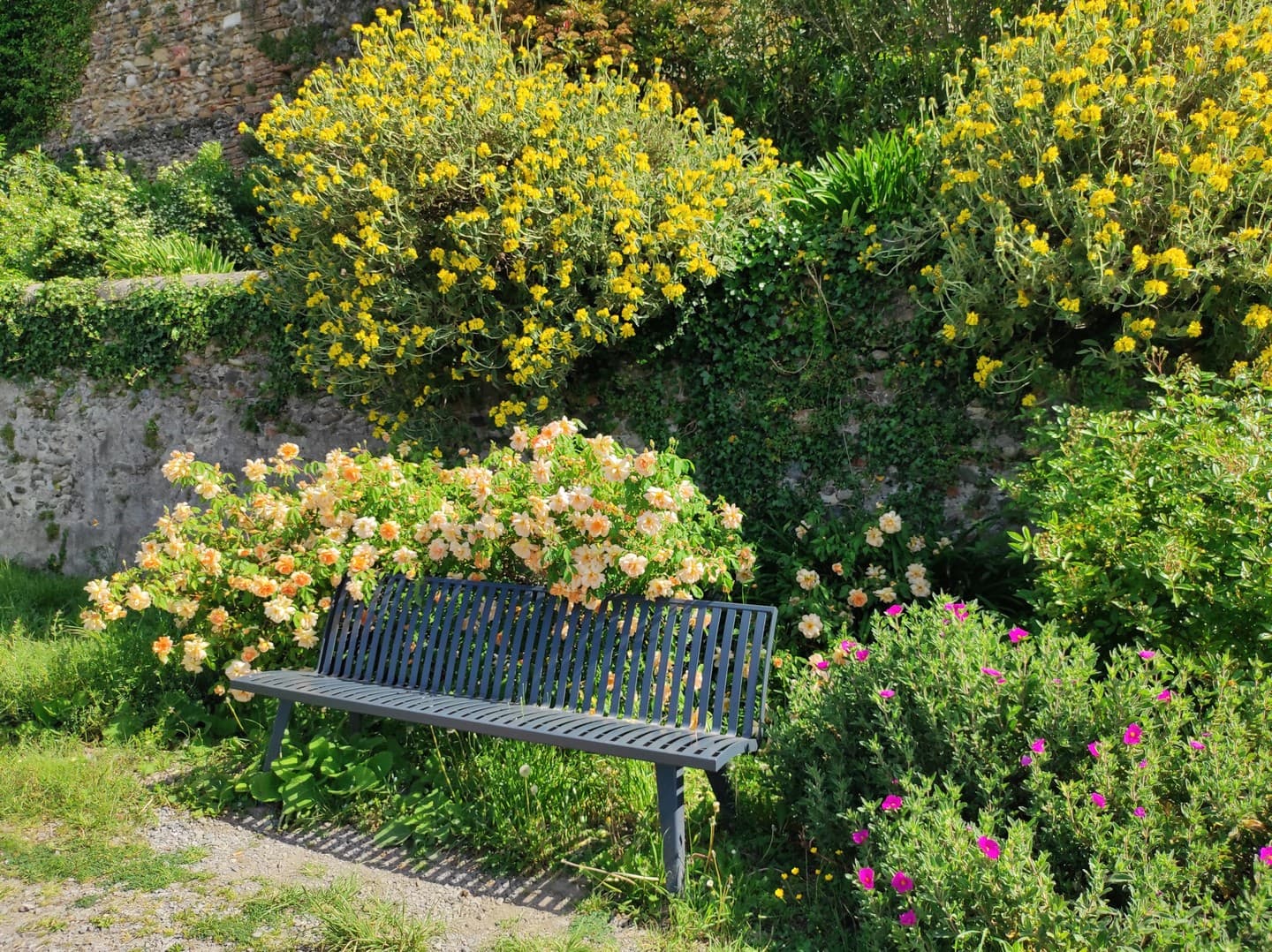 les remparts - Lescar - les bancs publics