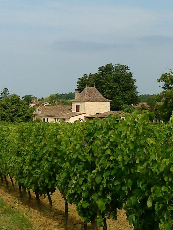 les grimard juillet 2013 039
