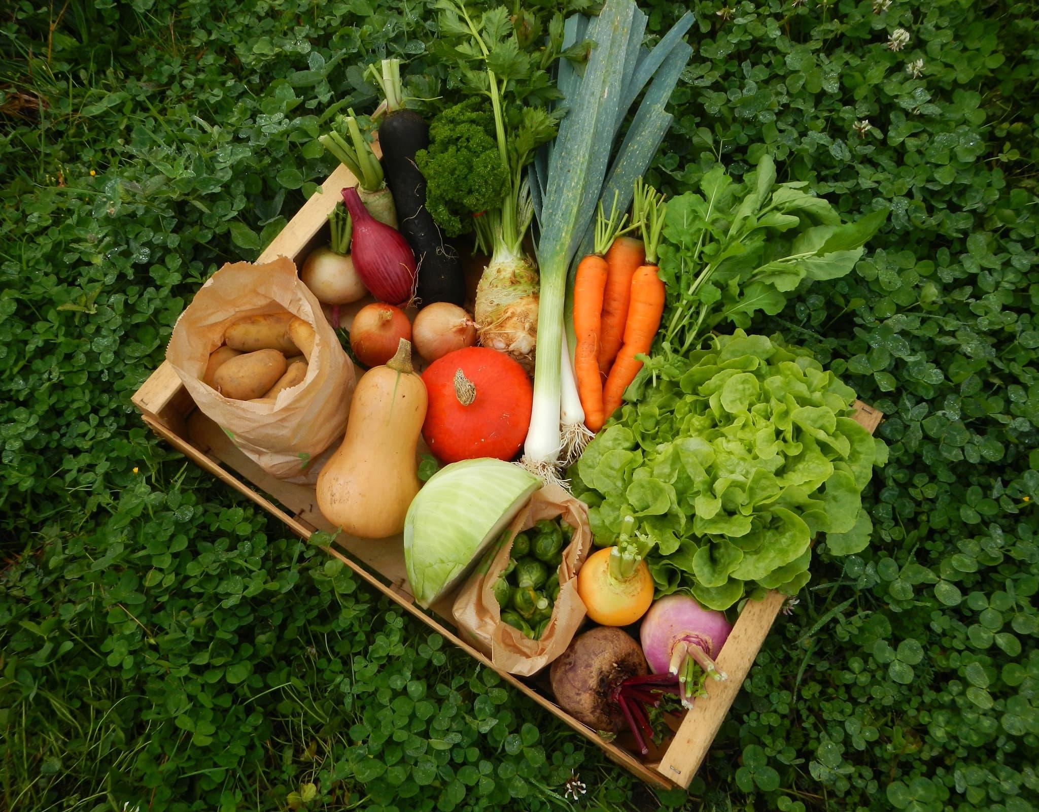 Les légumes de Rémi