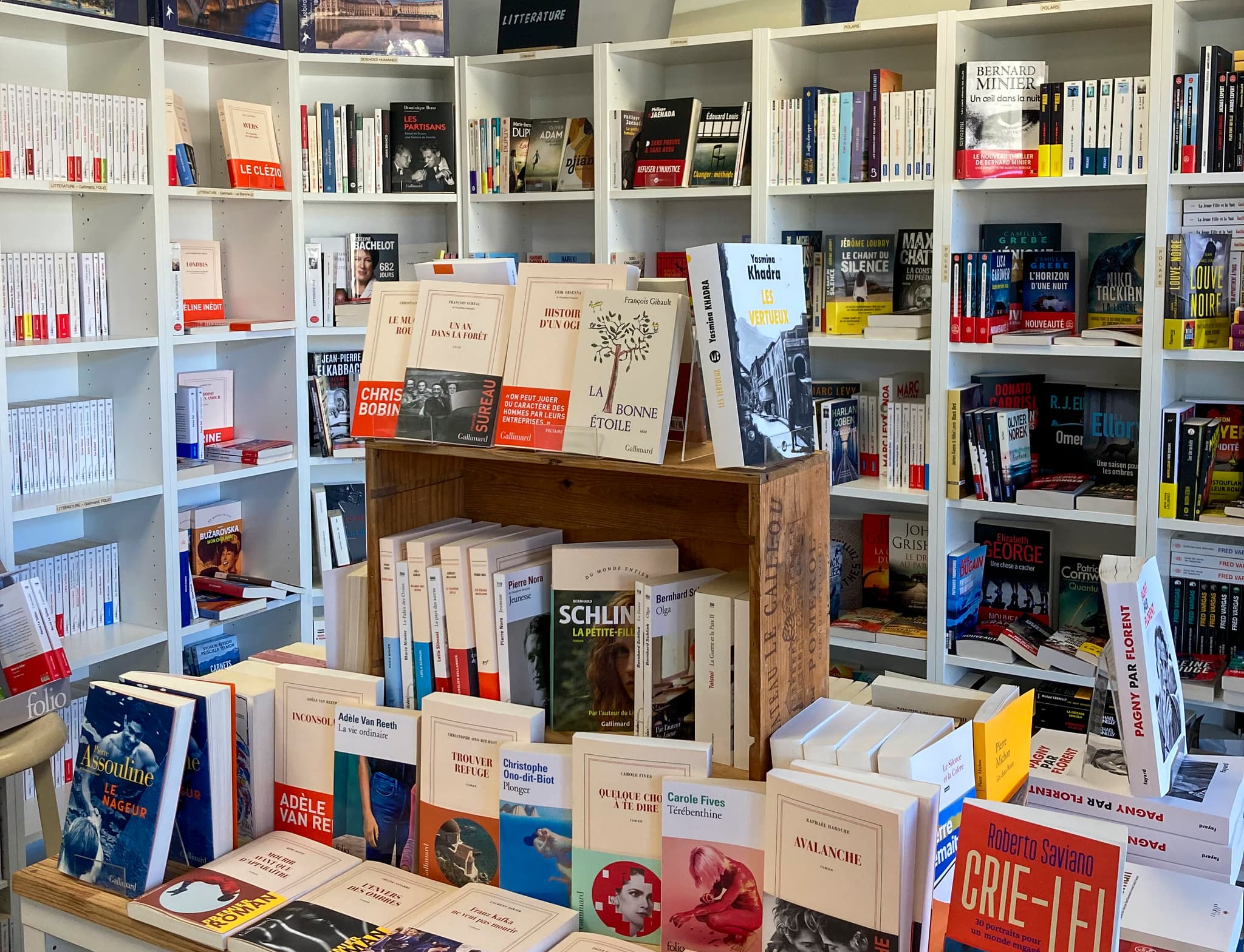 librairie_au_camion_interieur_rayons_livres