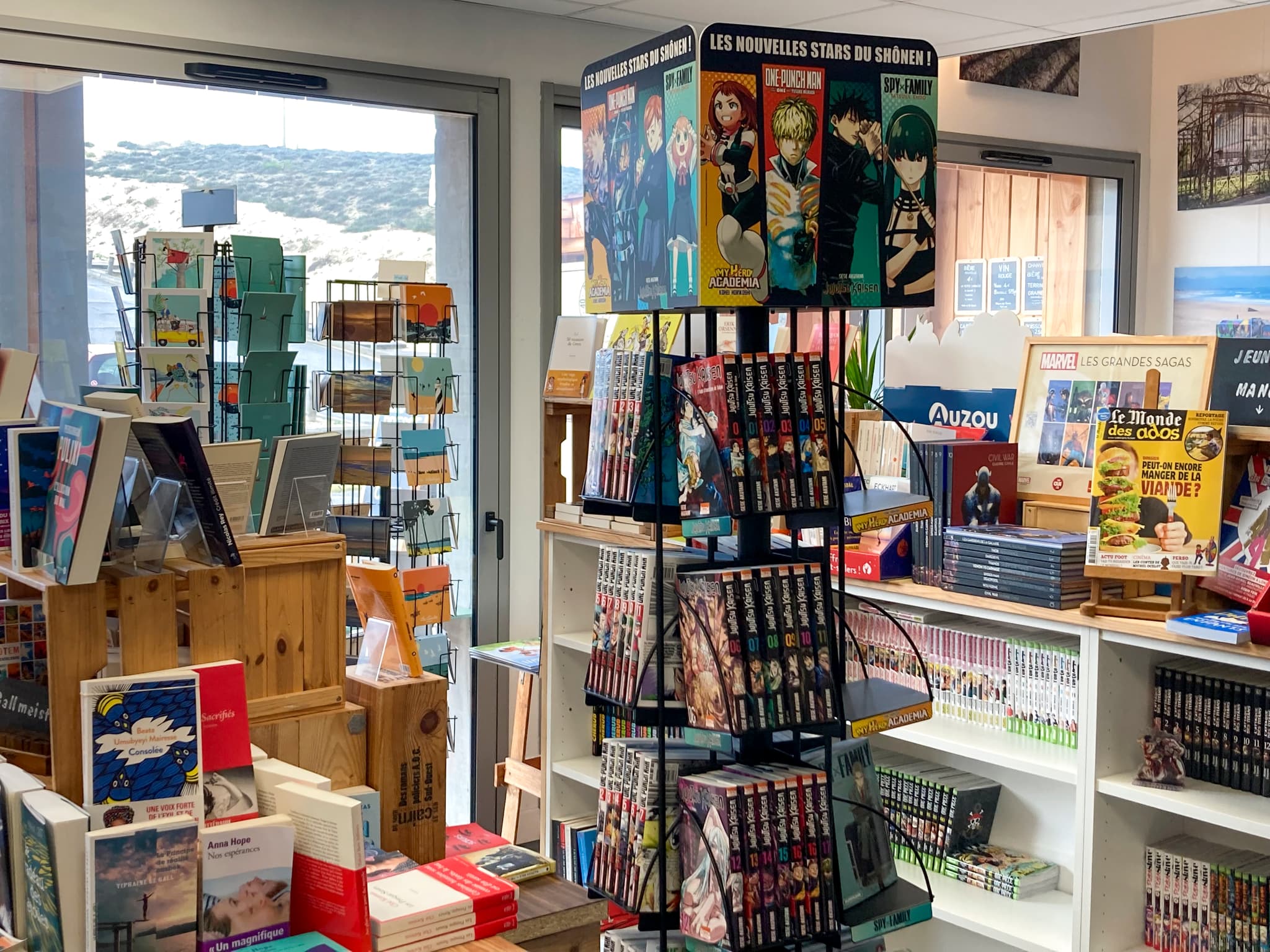 librairie_au_camion_mangas