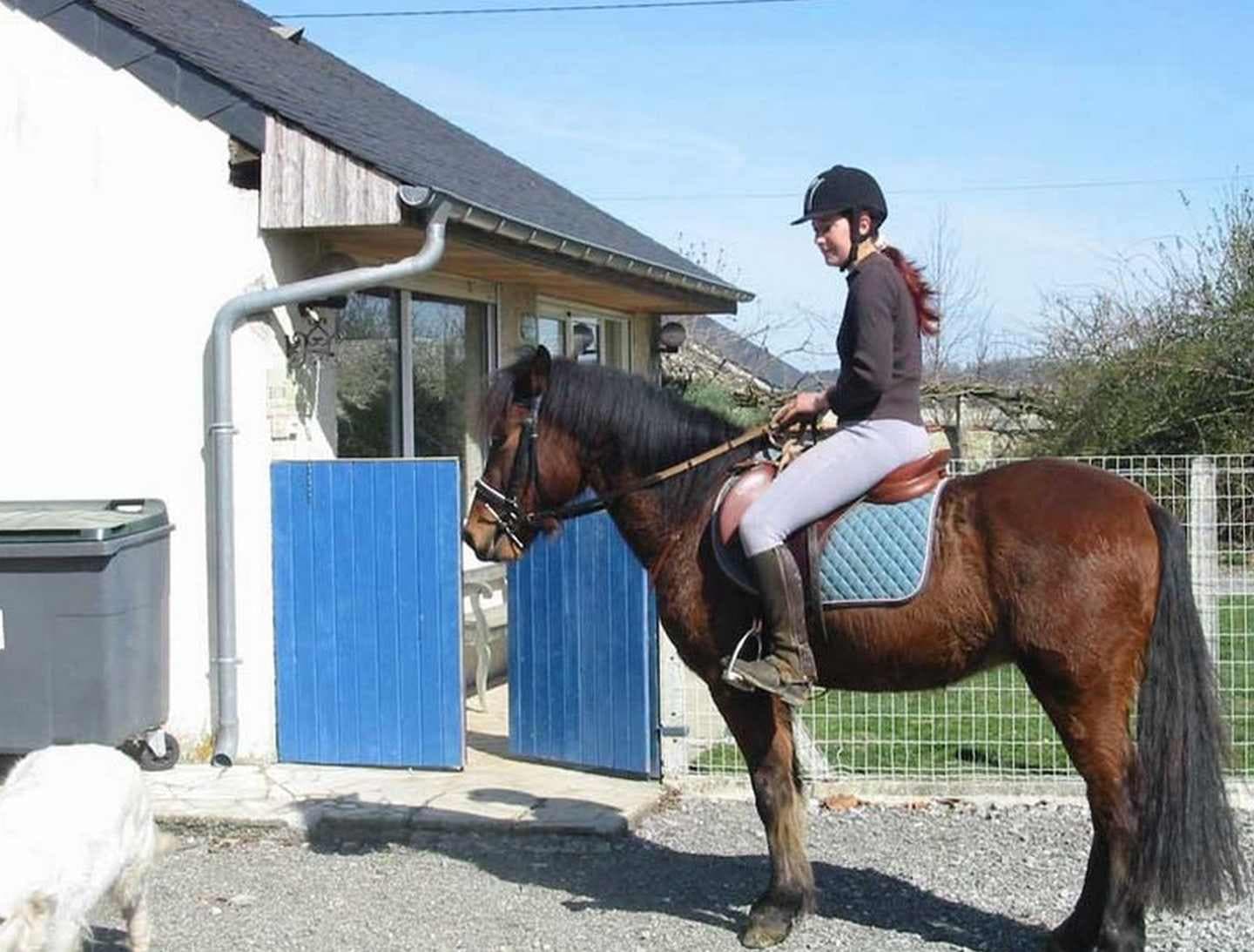 Lo Casau - Artigueloutan - Cheval