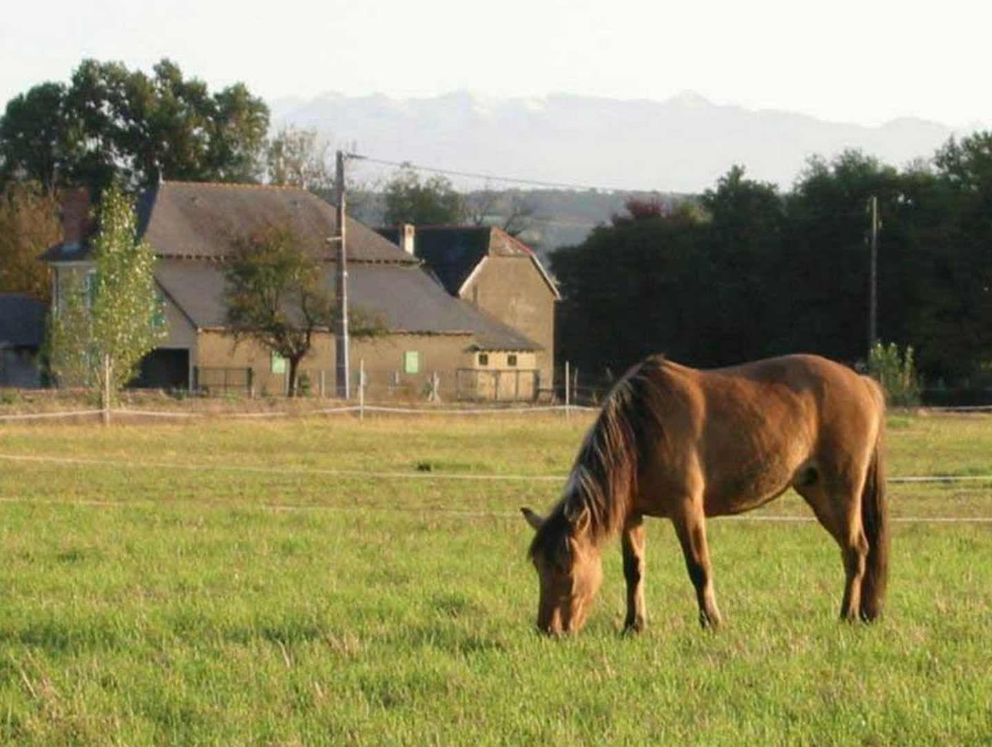 Lo Casau - Artigueloutan - Pré