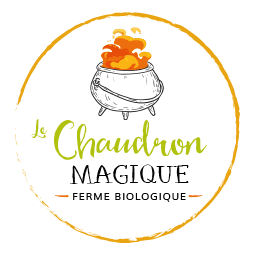 logo-header