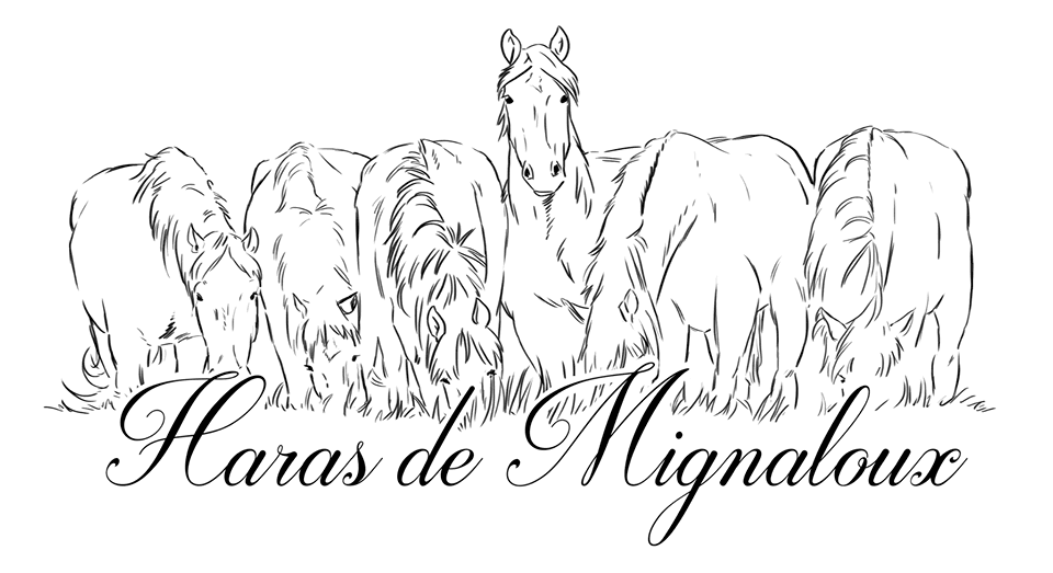 Haras de Mignaloux_1