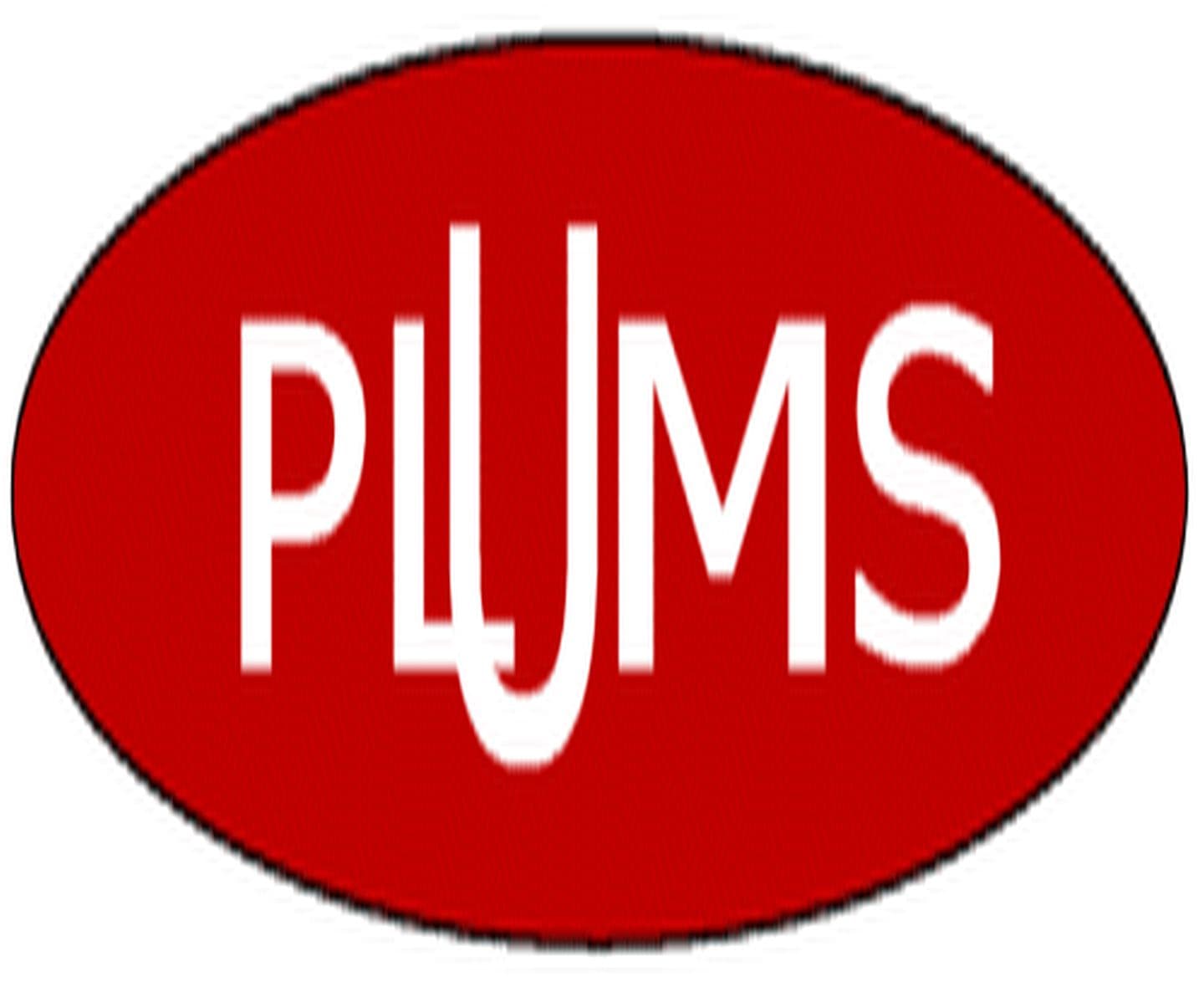 Ecole de Surf Plums