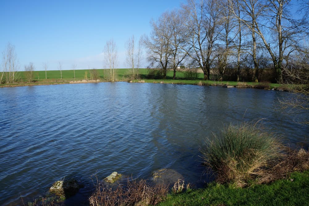Plan d'eau "Beausoleil"_1
