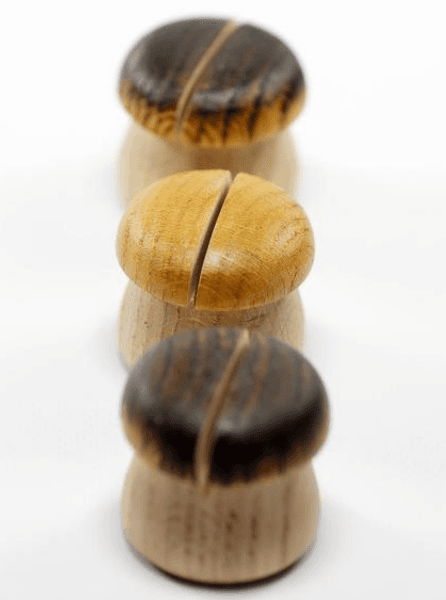 lunivers_du_champignon_1