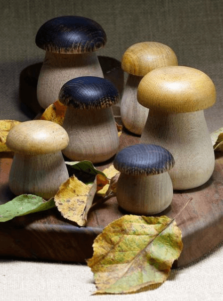lunivers_du_champignon_2