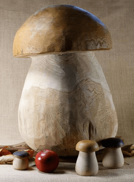lunivers_du_champignon_3
