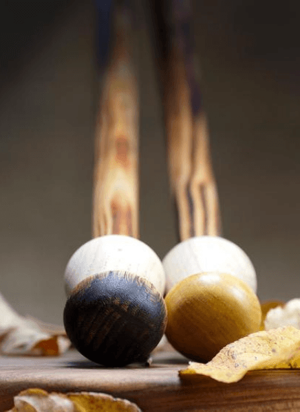lunivers_du_champignon_4