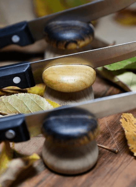 lunivers_du_champignon_7
