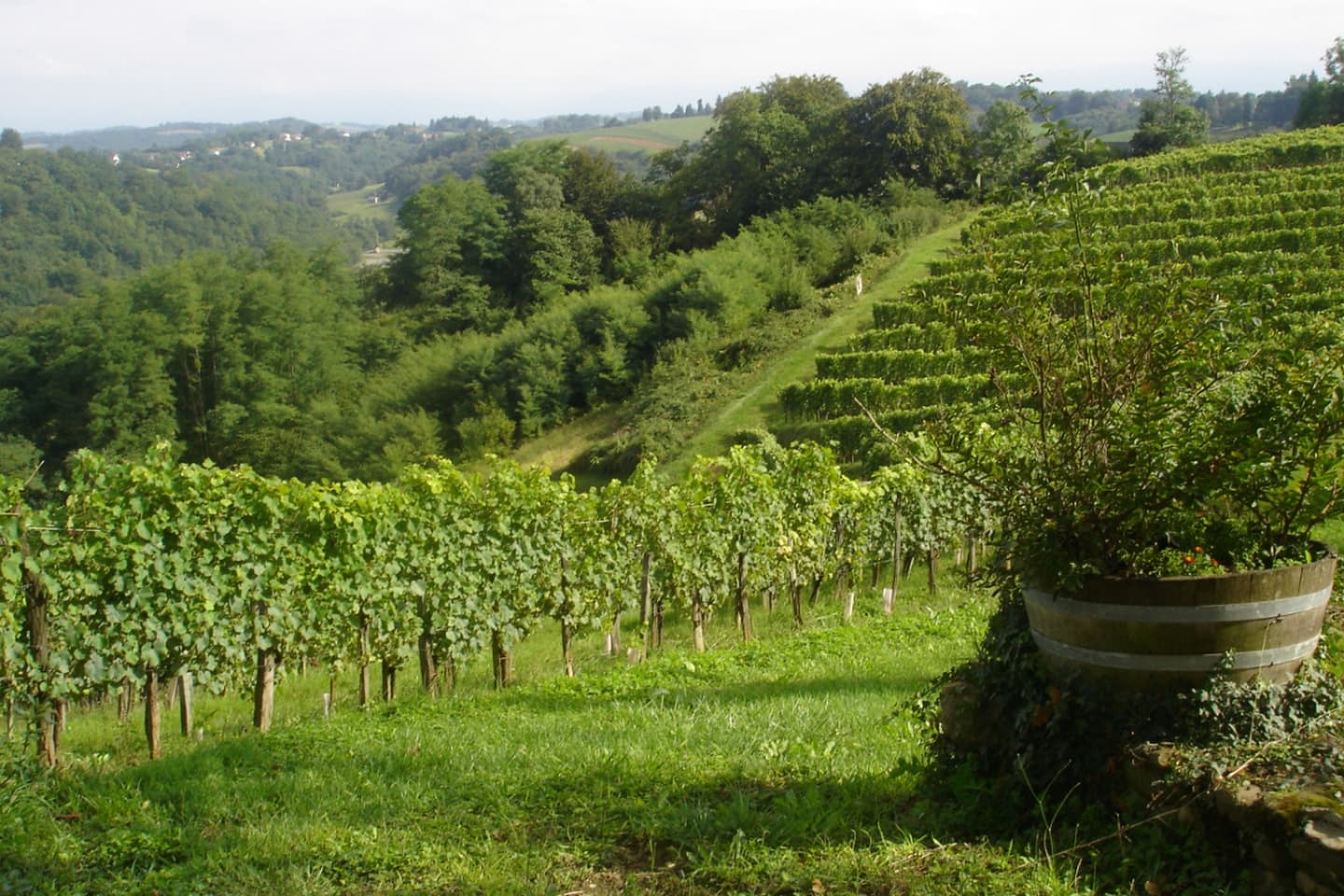 chambre d'hôtes Anne marie - Laroin - la campagne
