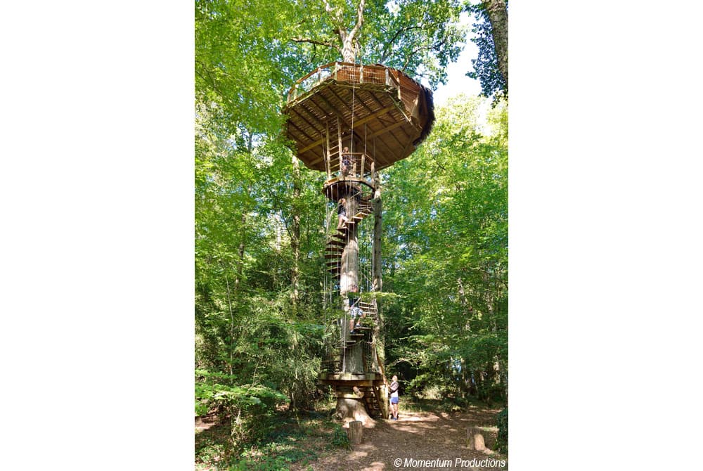 Cabanes dans les arbres - Parc de la Belle_1