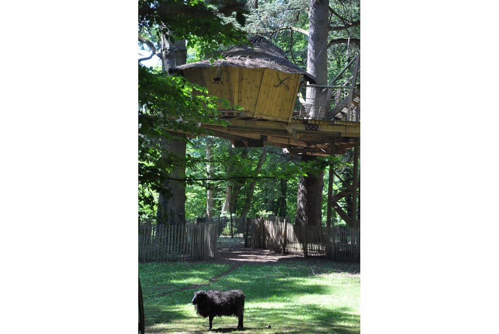 Cabanes dans les arbres - Parc de la Belle_6
