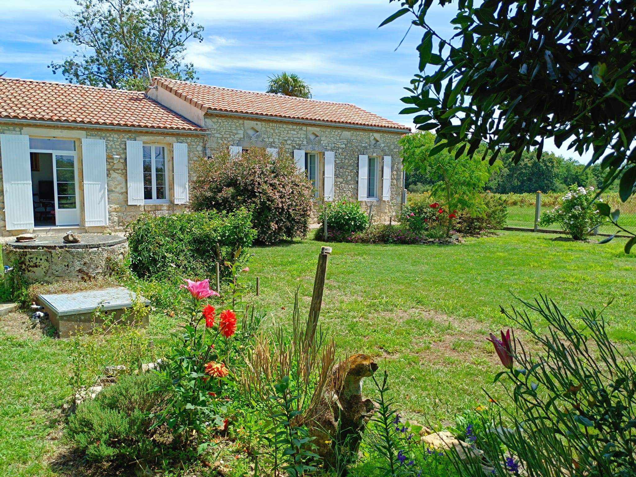 maison-de-vignes-07