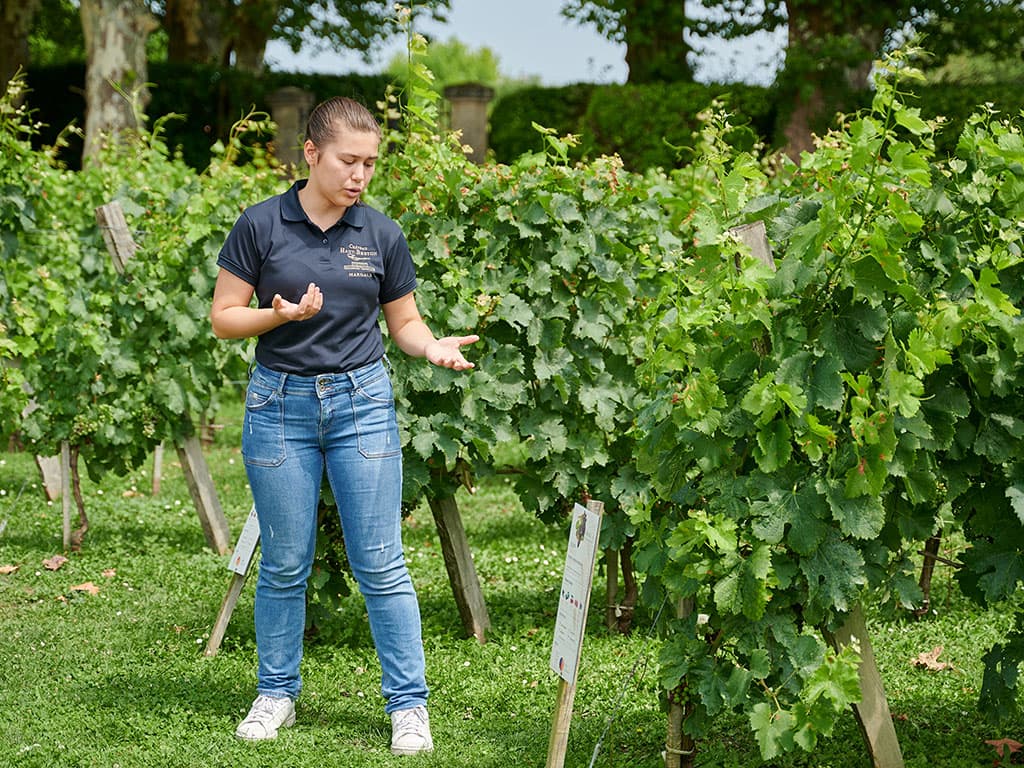 Mali dans les Vignes