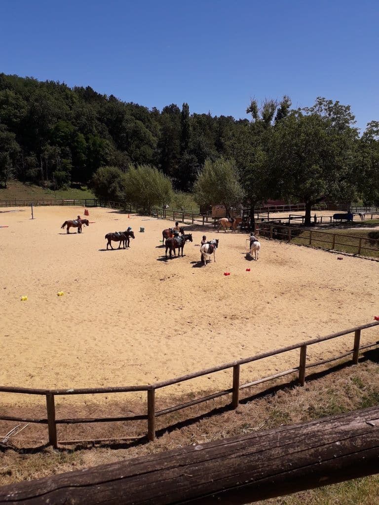 manège centre équestre