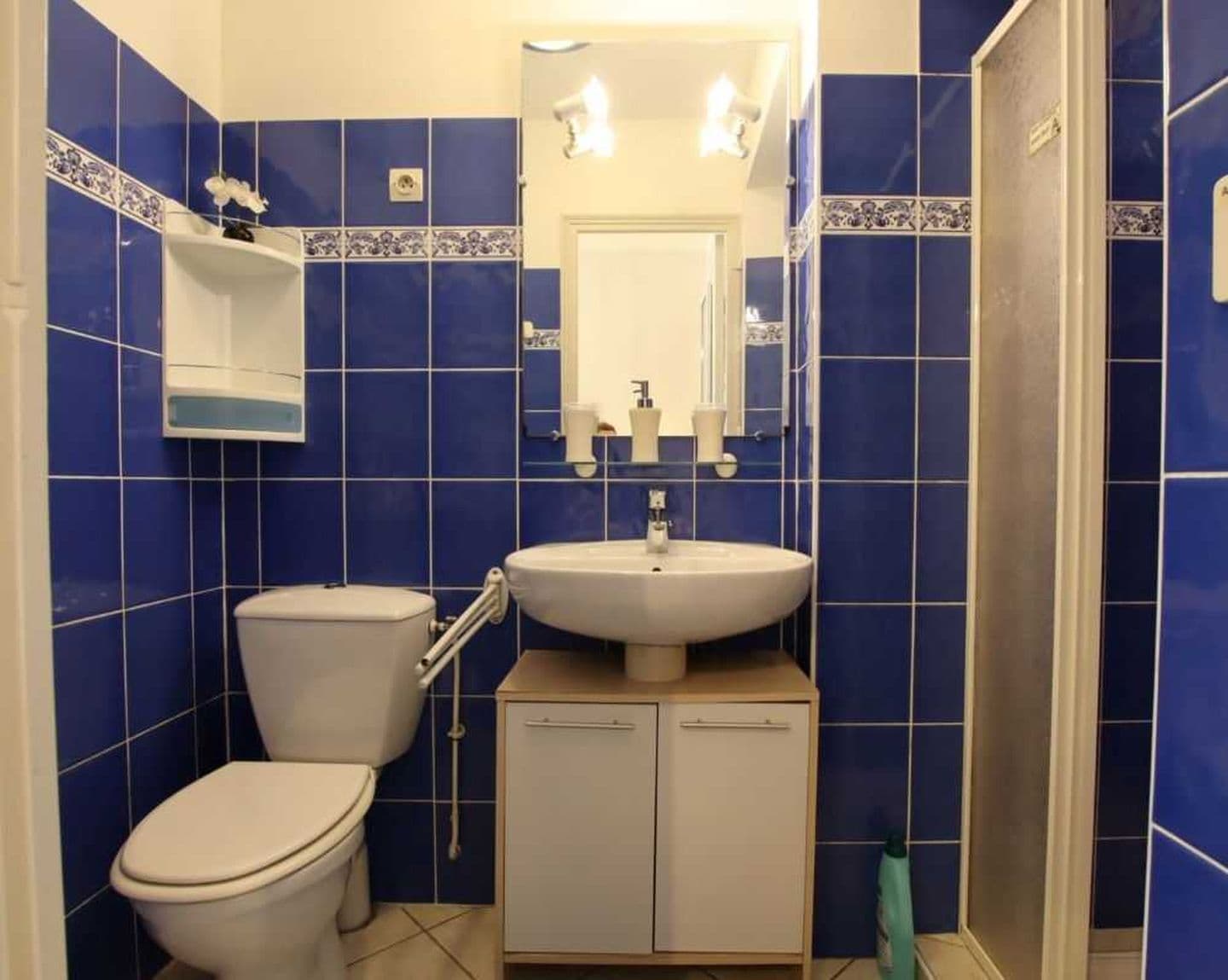 Gîte Phoebus " Le manoir d'Ossau" Photo Salle de bain