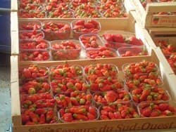 marché 5