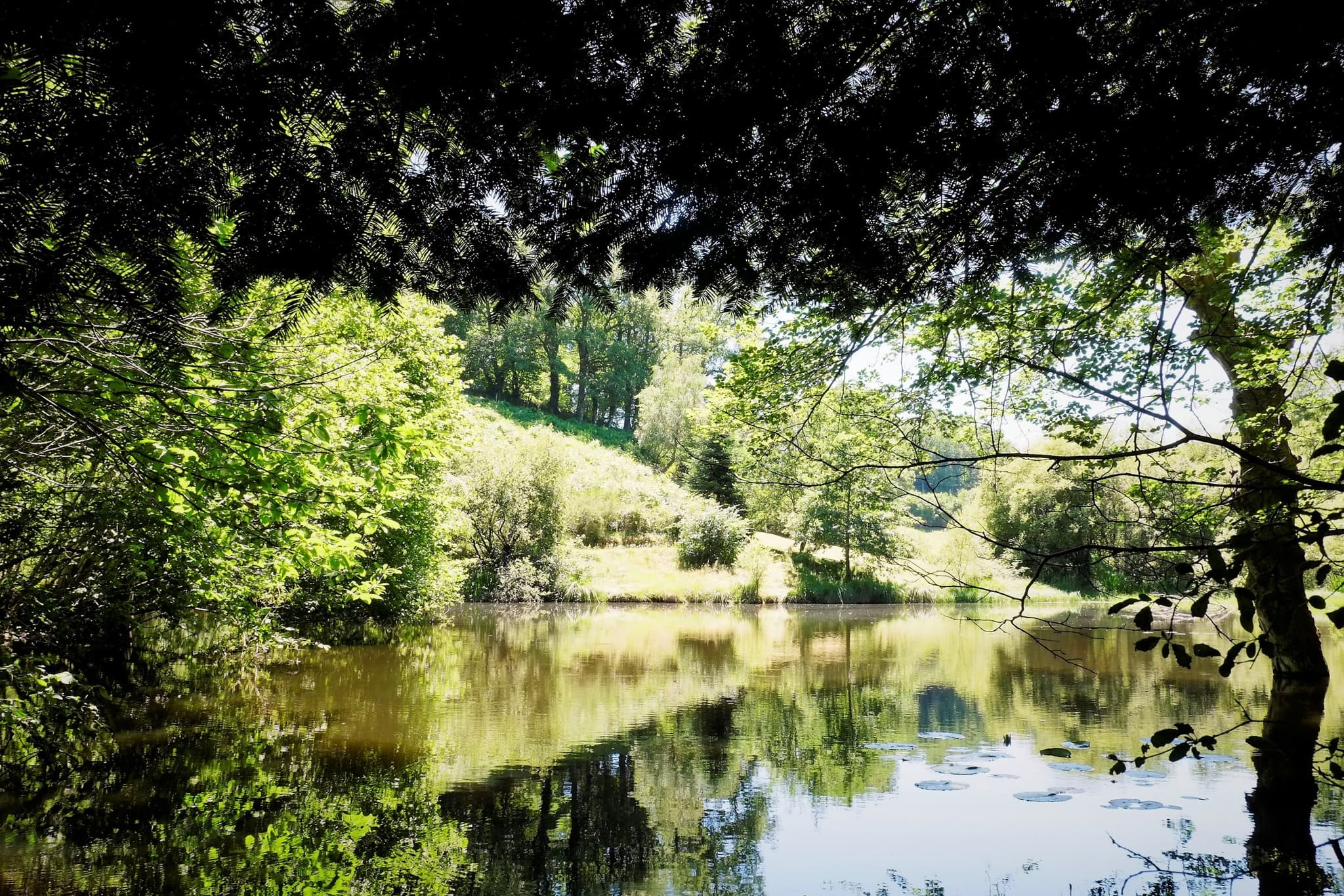 L'etang de 2500 m²_7