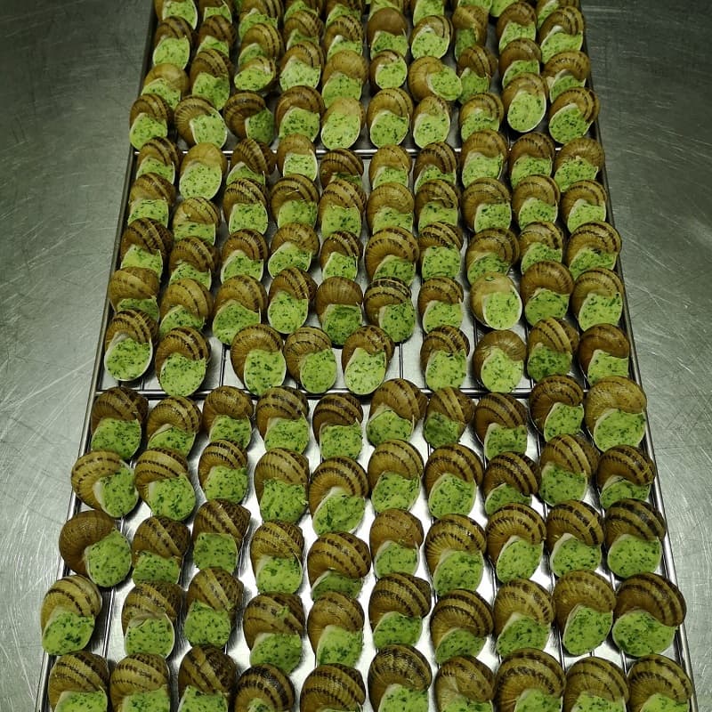 melimelo-escargots-farcisS