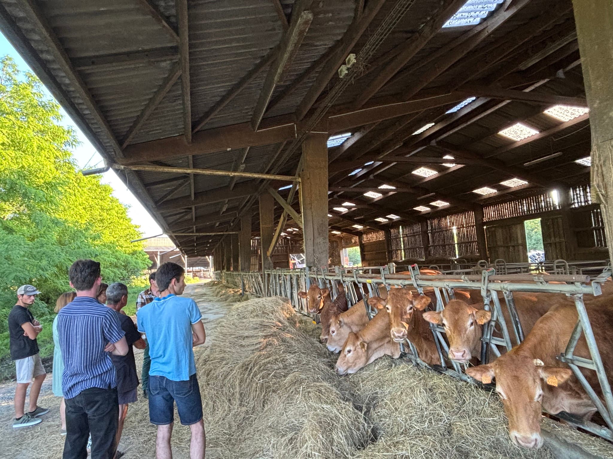mercredi-a-la-ferme-05