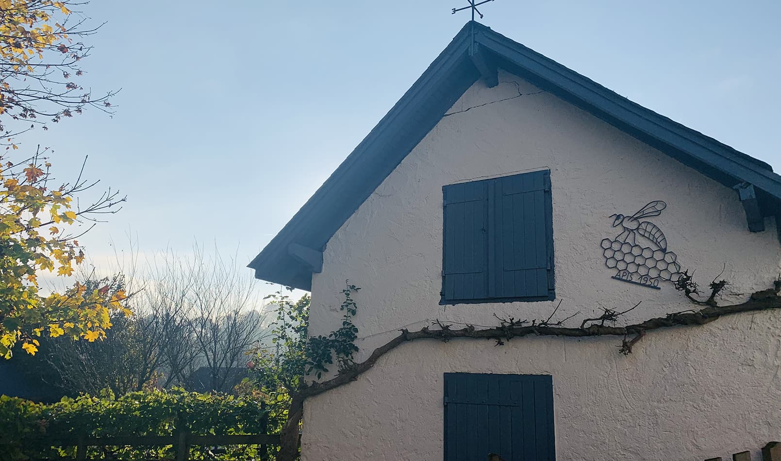 miel_paysbasque_beaudeant