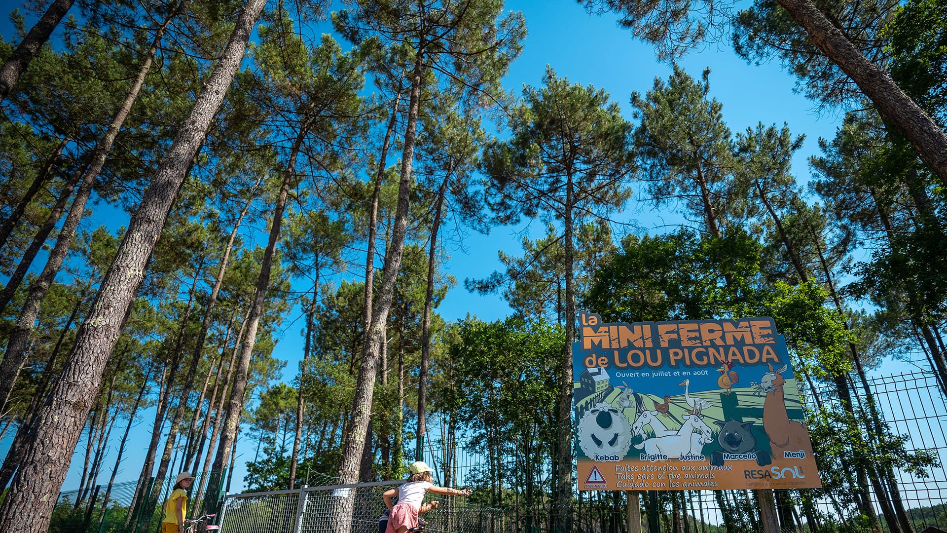 mini-ferme (3)