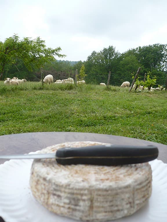 Fromage moelleux