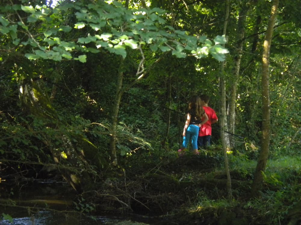 Camping de l'Allochon