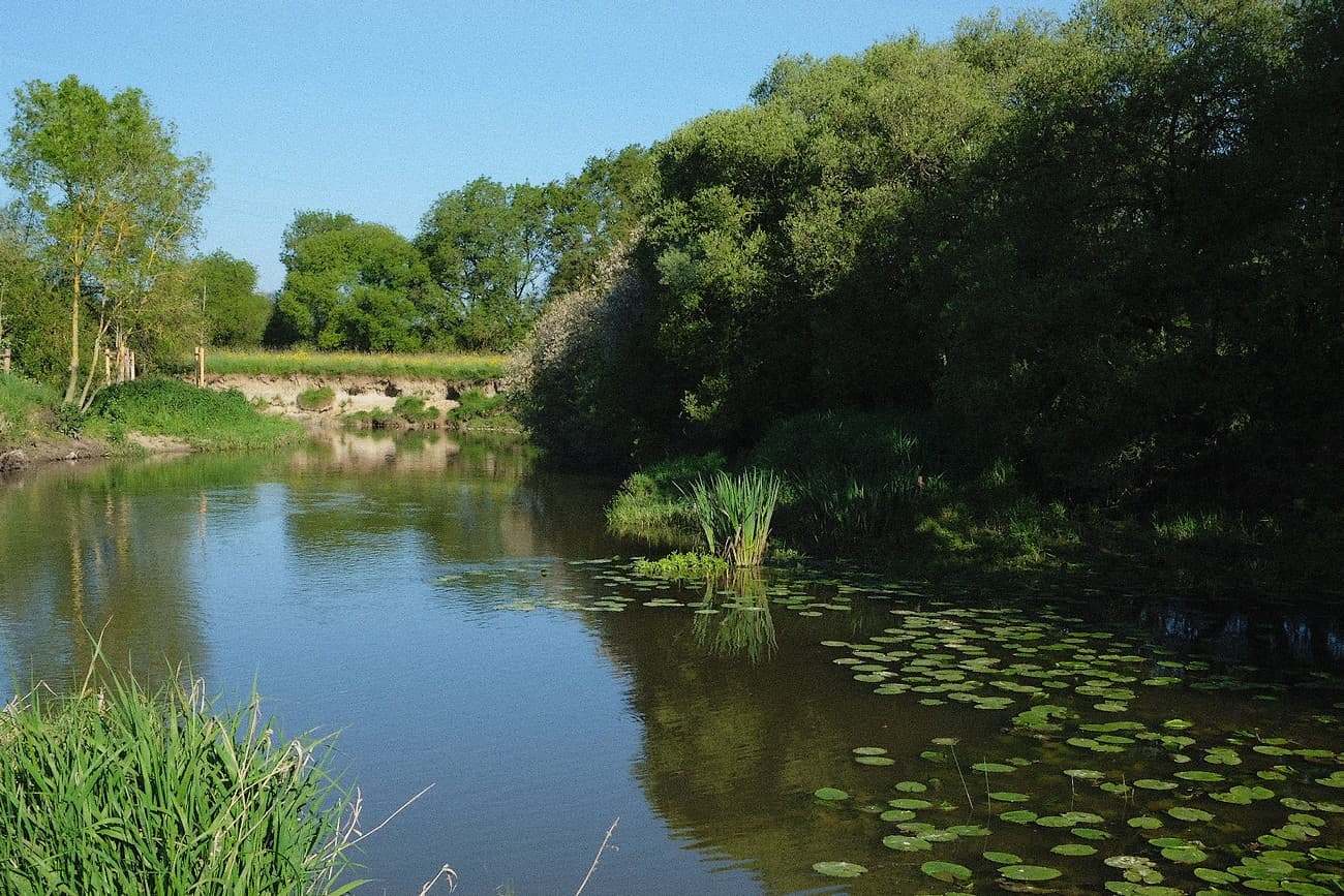 montravers-domaine-la-louisiere-riviere