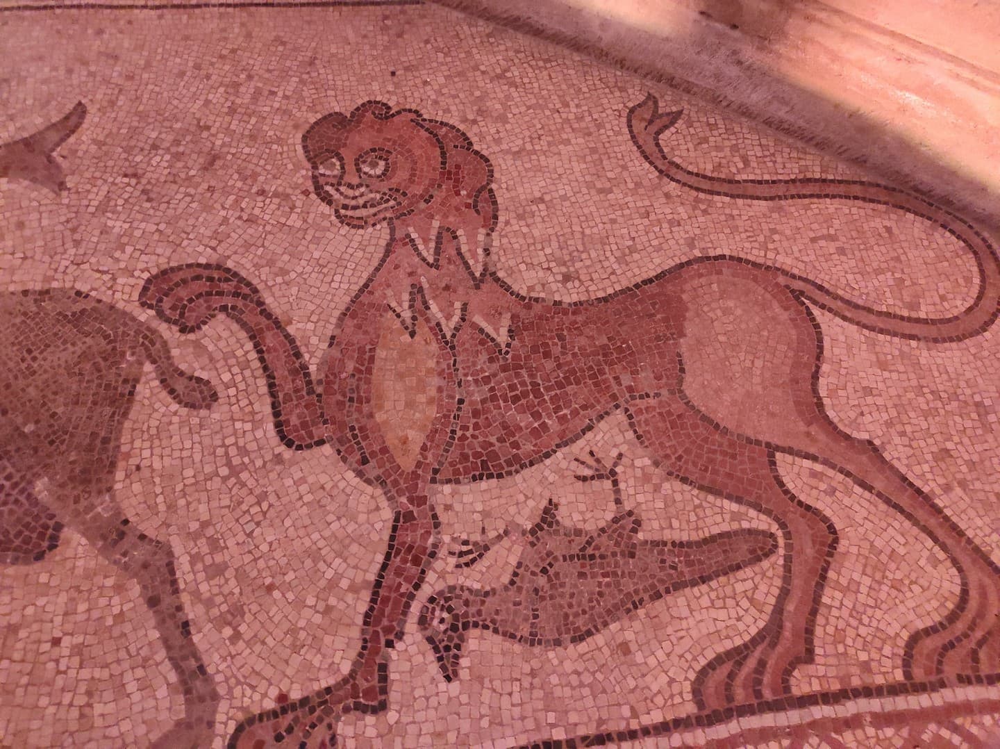 Mosaïque Cathédrale de Lescar - Lescar - détail lion