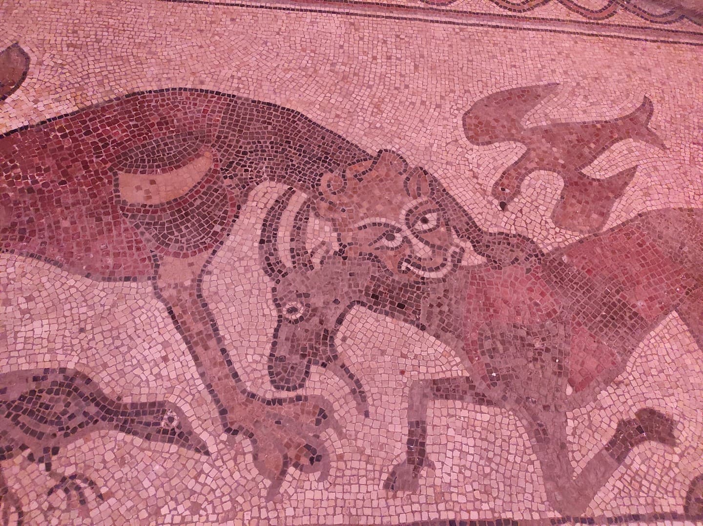 Mosaïque Cathédrale de Lescar - Lescar - détail bouc