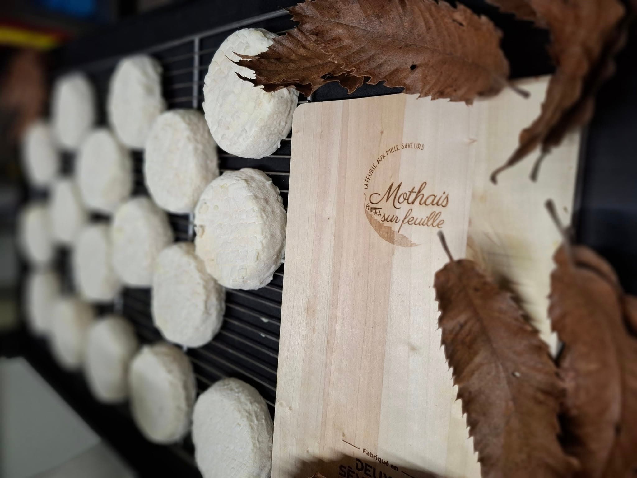 mothais sur feuille