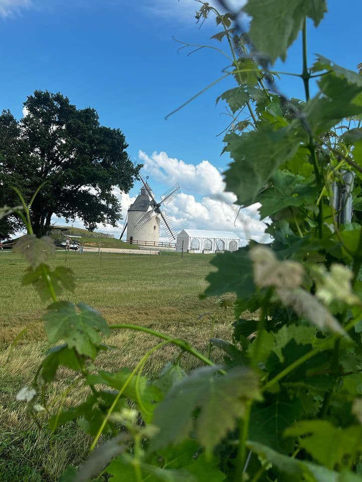 moulin