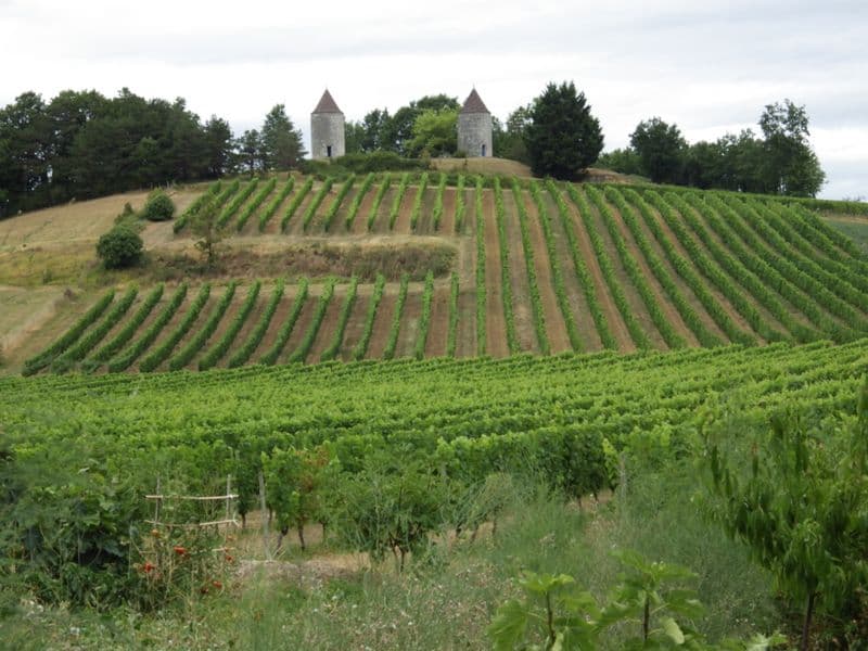 moulins-de-boisse (1)