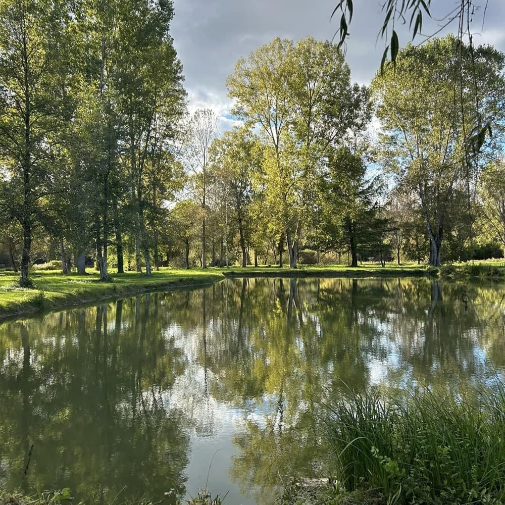 multipeche paysage-S