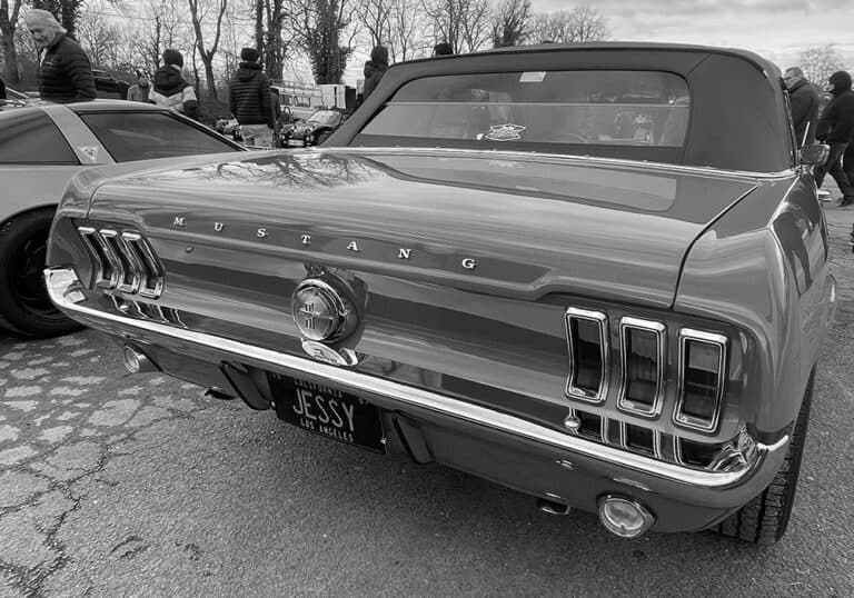 mustang-768x538
