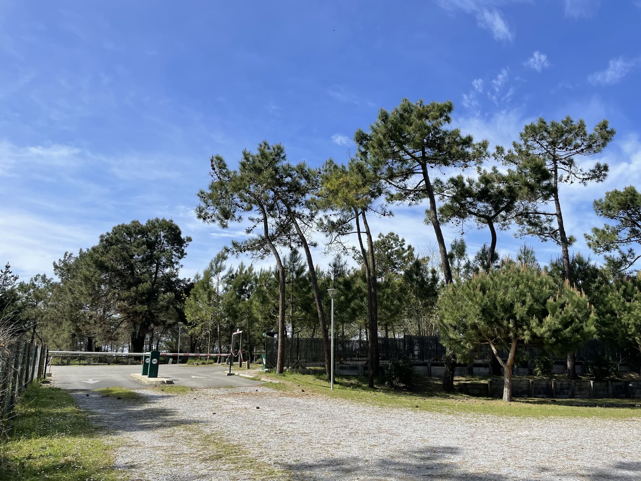 n°10