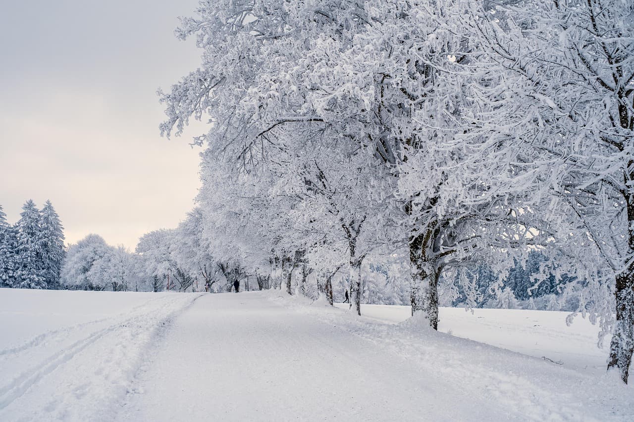 winterreise