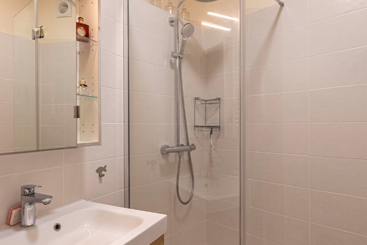 Meublé l'Atypique - Pau - bain