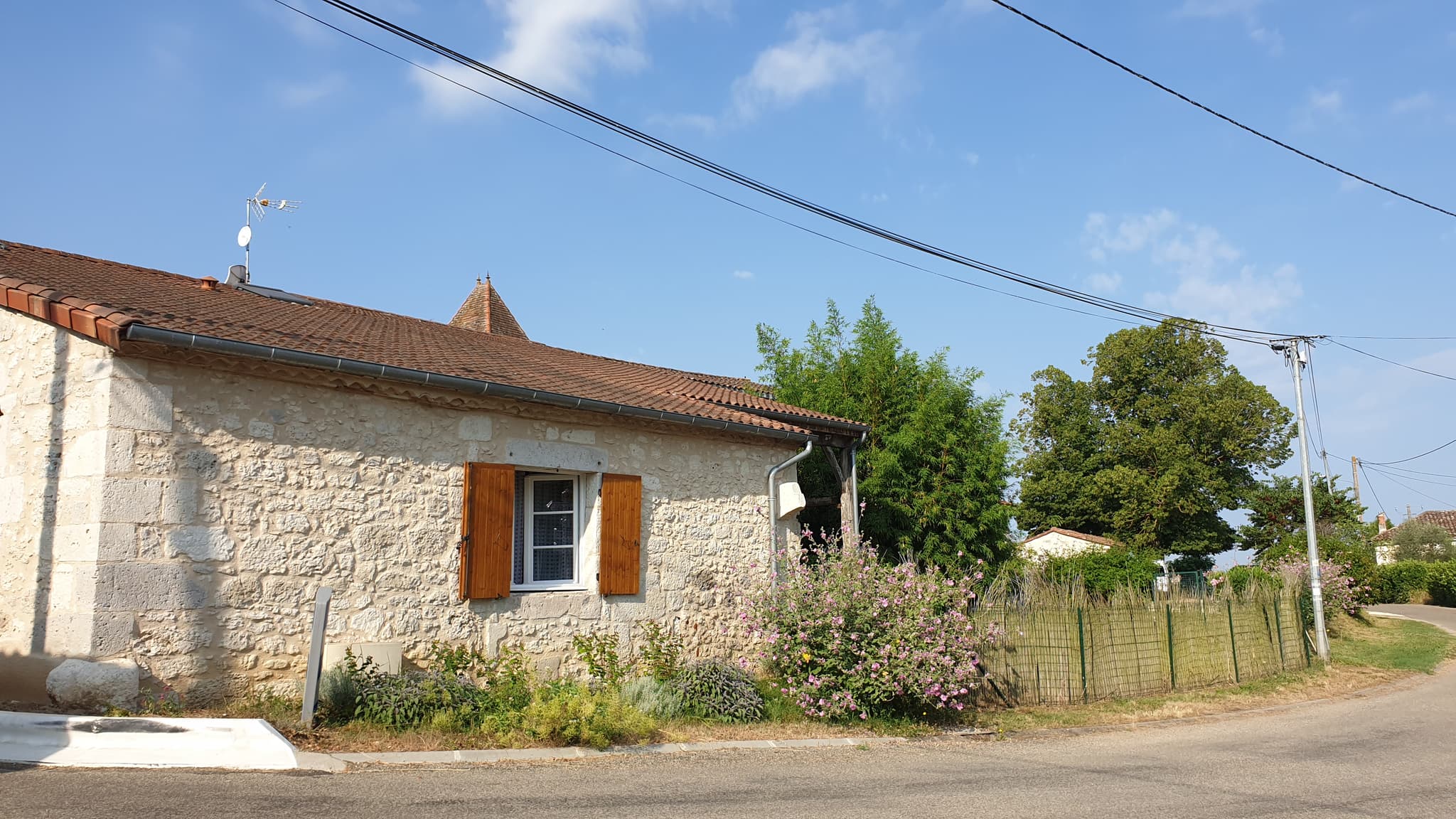 noisette (1)